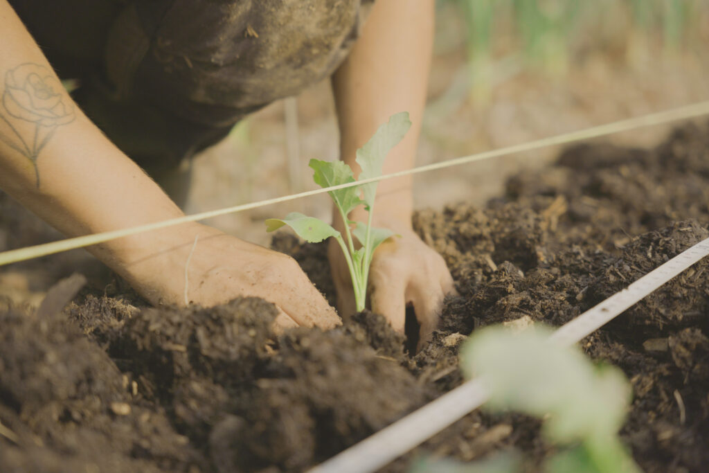 PermaTechnics La genèse d’une application #1